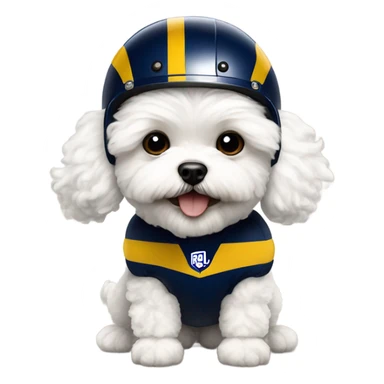 White fluffy maltipoo wearing LA Rams football helmet sticker