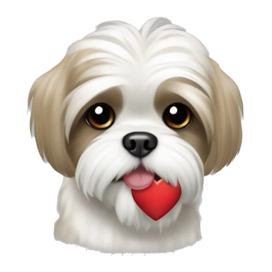 White shih tzu with tan spots holding a heart in their mouth sticker