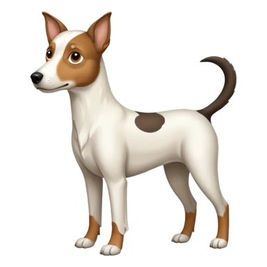 a full body large white floppy eared parson russell looking dog the size of a kelpie with light brown ears and a light brown patch on one eye and a large snout sticker