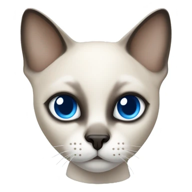 short haired siamese cat with white mask and blue eyes sticker