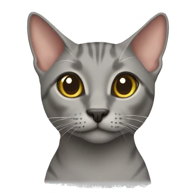 Grey oriental cat  sticker