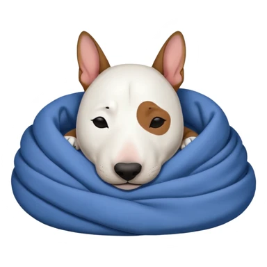 bull terrier sleeping cozy with blanket black head and eats sticker