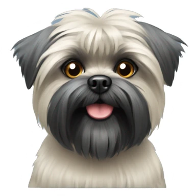 Affenpinscher
 sticker