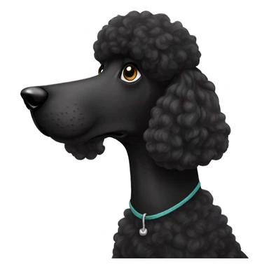 Black standard poodle  sticker