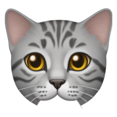 British shorthair grey tabby cat sticker