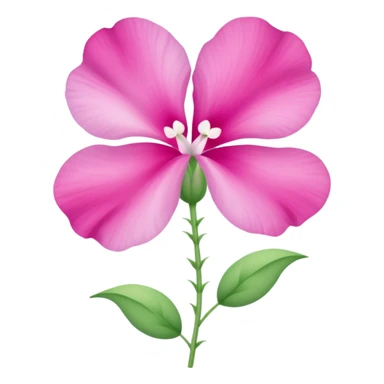 sweetpea flower, pink with dotted center sticker