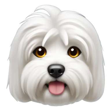 coton de tulear com lacinho vermelho sticker
