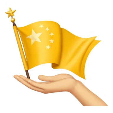 Chinar flag it has 80,000 stars and a hand sticker