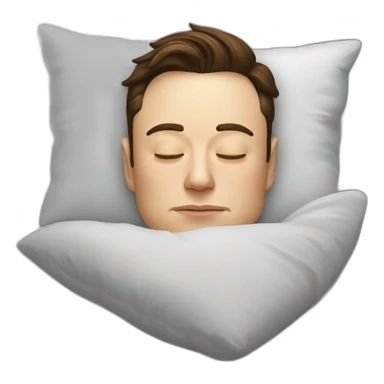 Elon Musk sleeping sticker