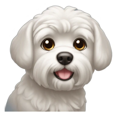 Perro de raza bichón maltés sticker