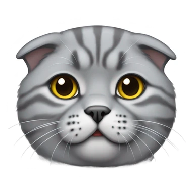 Grey Scottish fold cat sticker