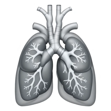 Create emoji with theses 🩻+🫀 sticker