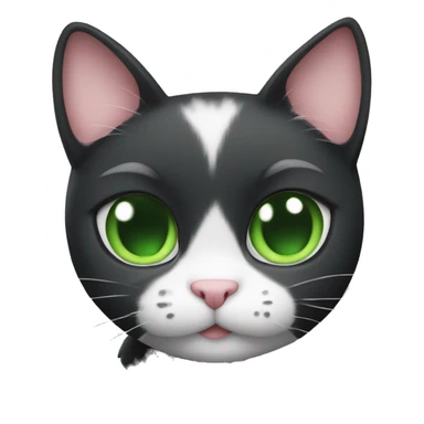  Black and white cat with green eyes holding a heart sticker