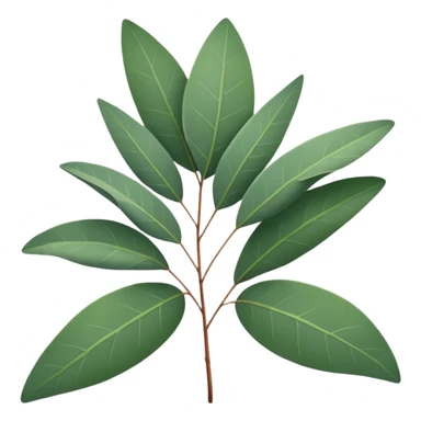 Eucalyptus leafs sticker