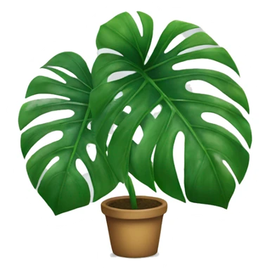 Monstera plant  sticker