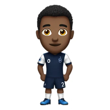 Tottenham hotspur sticker