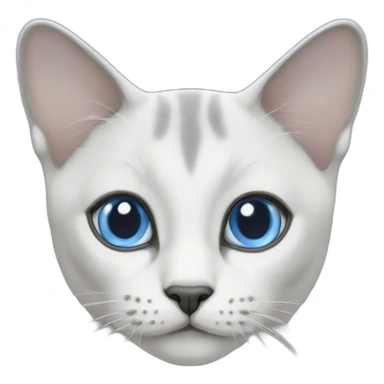 blue eyes White-grey Thai cat sticker