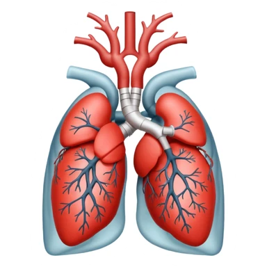 Create emoji with theses 🩻+🫀 sticker