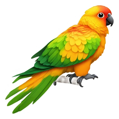 Sun conure sticker