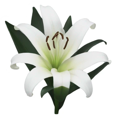 black and white lily sticker