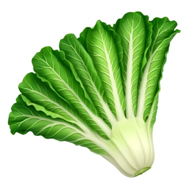 Romaine salad with no tomatoes sticker