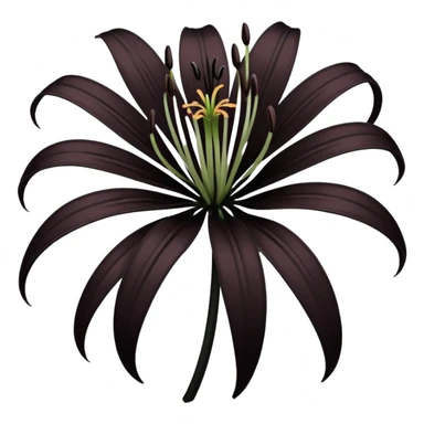 goth black spider lily sticker