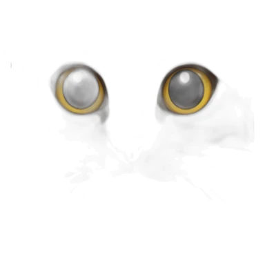 starring cat face sticker