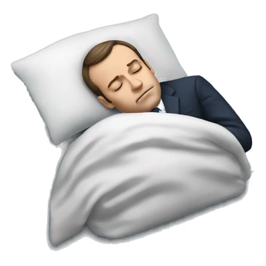 Macron sleeping  sticker