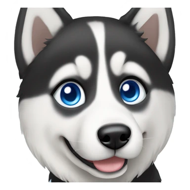 Black and white Siberian husky with blue eyes sticker