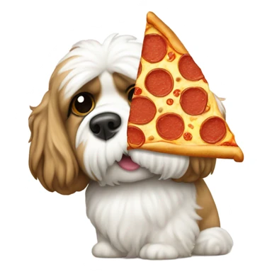 Shitzu eating a pizza sticker