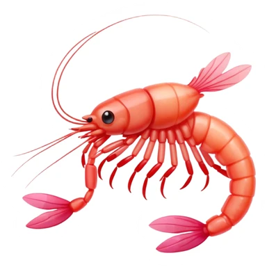 shrimp mini sticker