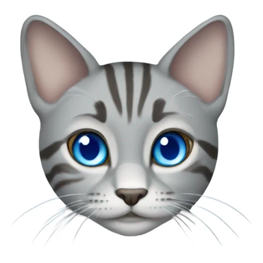 Grey tabby cat with blue eyes sticker
