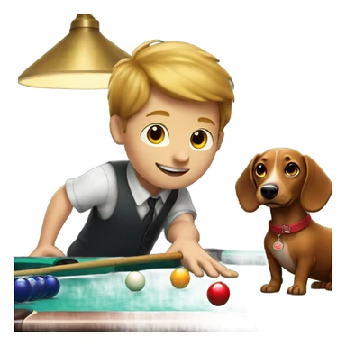 Boy with weiner dog playing pool sticker