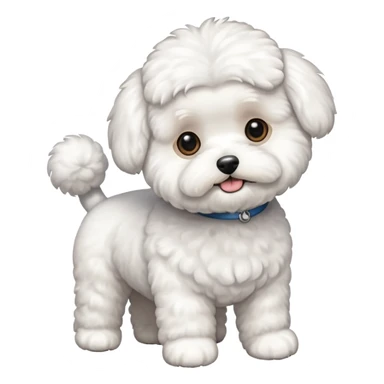 a full body of cute bichon frise sticker