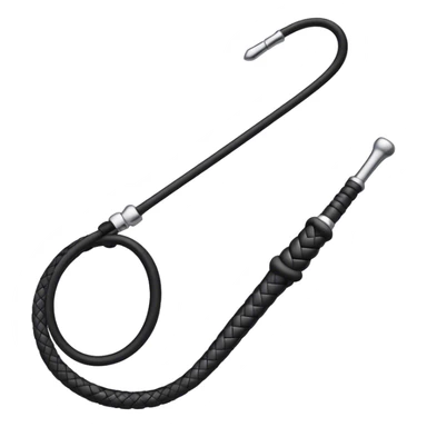 Short Black riding whip  sticker