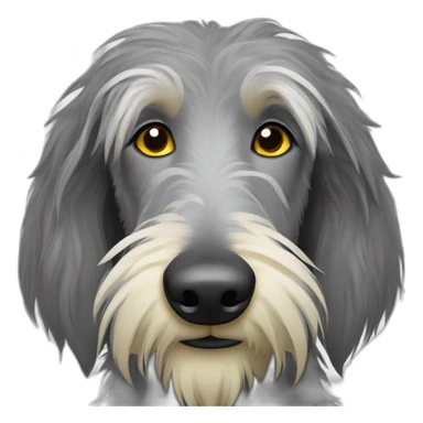 Scottish deerhound with yellow fur, white nose sticker