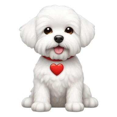 Maltese Bichon with a red heart sticker