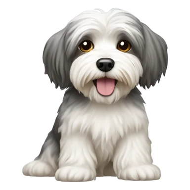 Havanese dog white sticker