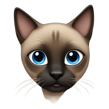 Dark brown Siamese cat with black paws and blue eyes  sticker