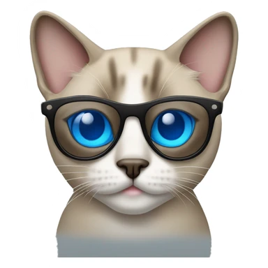 blue eyed siamese Tabby mixed cat wearing sunglasses  sticker