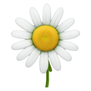 white daisy sticker