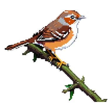 Cetti's warbler bird sticker