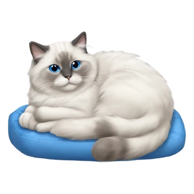 Blue point Ragdoll cat with short hair, sleeping on top of a hot water bottle   sticker