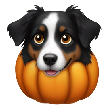 Small black australian shepherd dog in a pumpkin sticker