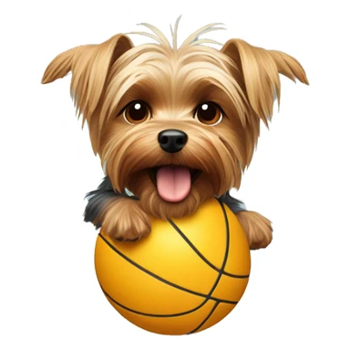 Yorkshire terrier play with the ball sticker