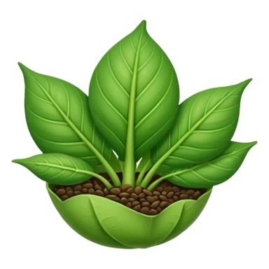 Germinating seed with a folded leaf sticker