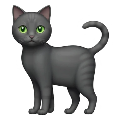 full body completely solid dark grey cat with green eyes and white paws sticker