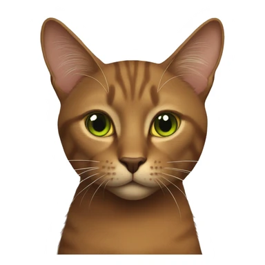 Brown cat with brown nose and orange/yellow/green eyes long black whiskers  sticker