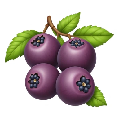 acai berry sticker