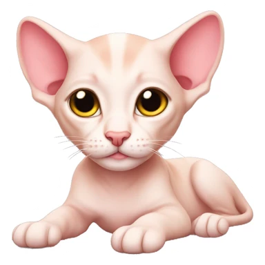 Pinksphinx kitten laying sticker